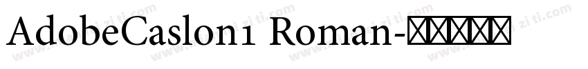 AdobeCaslon1 Roman字体转换
